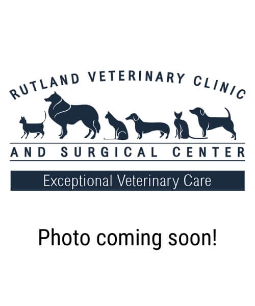 Rutland Veterinary Clinic & Surgical Center - Photo Coming Soon