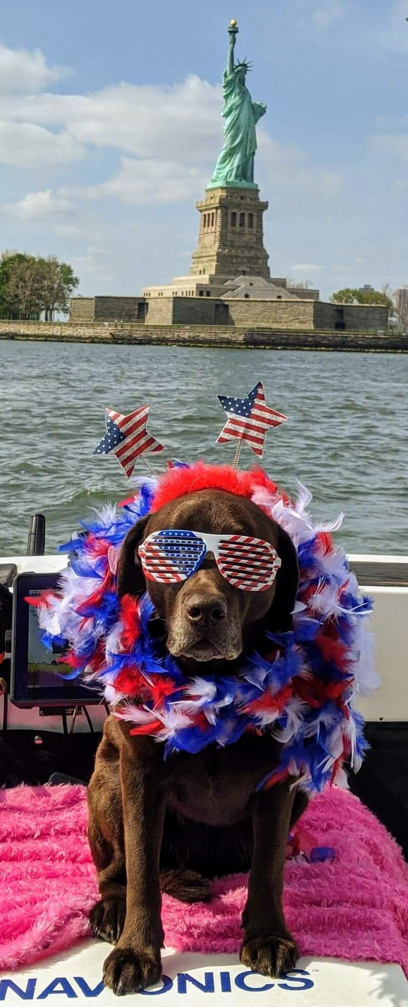 dog sitting on boat next to statue of liberty