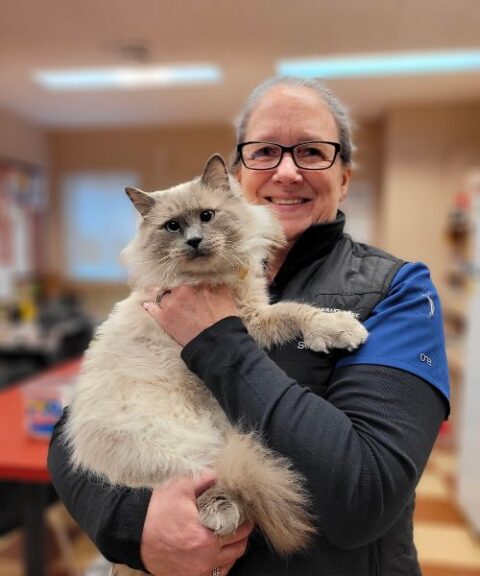 Veterinarian In Rutland, VT 05701 | RVCSC