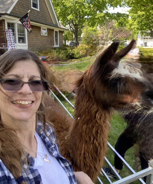 Donna's picture Rutland Veterinary Clinic & Surgical Center - Photo Coming Soon
